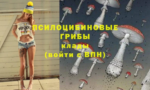 мдма Армянск