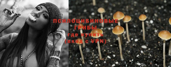 дурь Аркадак